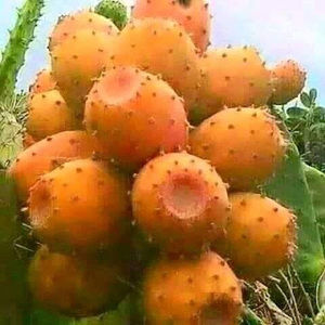 Meet your Posher, Jon